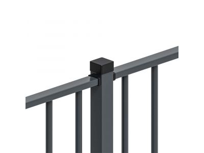 Palisade fence | Round bar | RT-ZP | Width 220 cm 