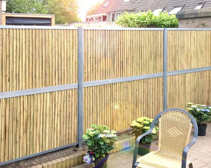 Bamboo fences