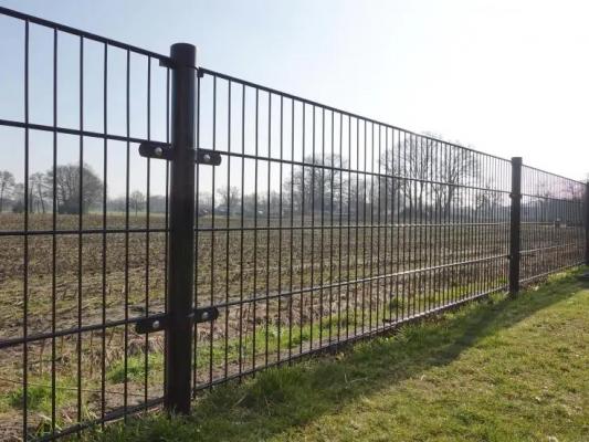 Twin Wire Mesh Fencing